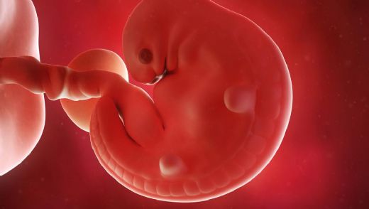 6 Haftalık Gebelikte Kanama Belirtileri ve Tedavisi